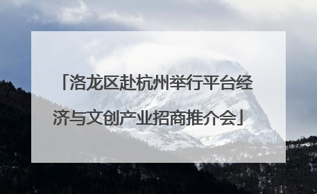洛龙区赴杭州举行平台经济与文创产业招商推介会