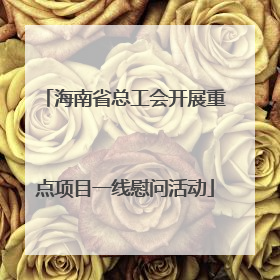 海南省总工会开展重点项目一线慰问活动