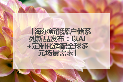 海尔新能源户储系列新品发布：以AI+定制化适配全球多元场景需求