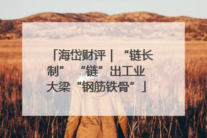 海岱财评｜“链长制” “链”出工业大梁“钢筋铁骨”