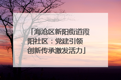 海沧区新阳街道霞阳社区：党建引领 创新传承激发活力
