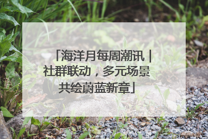 海洋月每周潮讯｜社群联动，多元场景共绘蔚蓝新章