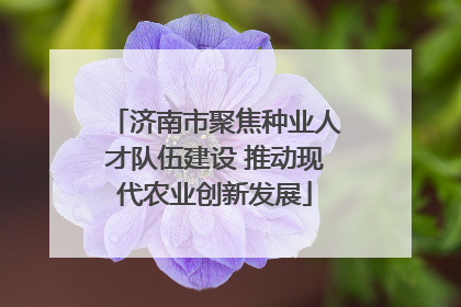 济南市聚焦种业人才队伍建设 推动现代农业创新发展
