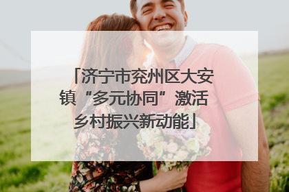 济宁市兖州区大安镇“多元协同”激活乡村振兴新动能