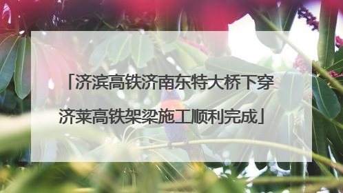 济滨高铁济南东特大桥下穿济莱高铁架梁施工顺利完成
