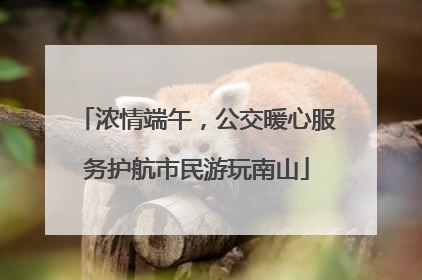 浓情端午，公交暖心服务护航市民游玩南山
