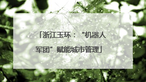 浙江玉环：“机器人军团”赋能城市管理