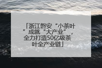 浙江磐安“小茶叶”成就“大产业”，全力打造50亿级茶叶全产业链