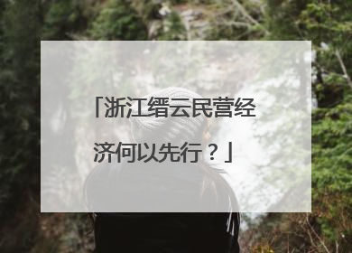 浙江缙云民营经济何以先行？