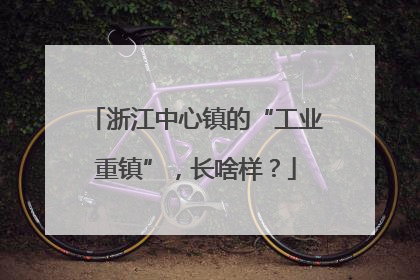 浙江中心镇的“工业重镇”，长啥样？