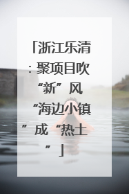 浙江乐清：聚项目吹“新”风 “海边小镇”成“热土”