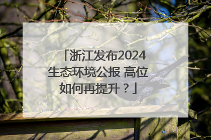 浙江发布2024生态环境公报 高位如何再提升？