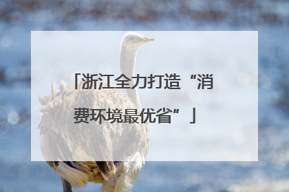 浙江全力打造“消费环境最优省”
