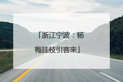 浙江宁波：杨梅挂枝引客来