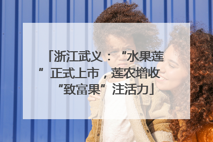 浙江武义：“水果莲”正式上市，莲农增收“致富果”注活力
