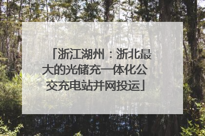 浙江湖州：浙北最大的光储充一体化公交充电站并网投运