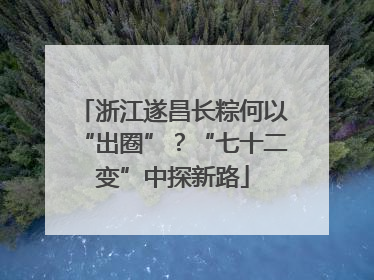 浙江遂昌长粽何以“出圈”？“七十二变”中探新路
