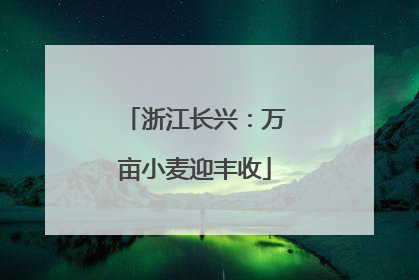 浙江长兴：万亩小麦迎丰收