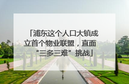 浦东这个人口大镇成立首个物业联盟，直面“三多三难”挑战