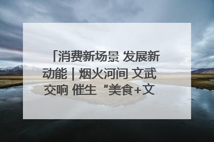 消费新场景 发展新动能｜烟火河间 文武交响 催生“美食+文化”消费新场景