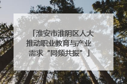 淮安市淮阴区人大推动职业教育与产业需求“同频共振”