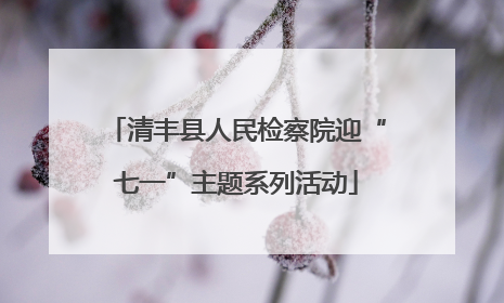 清丰县人民检察院迎“七一”主题系列活动