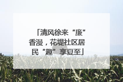 清风徐来“廉”香漫，花堤社区居民“趣”享夏至