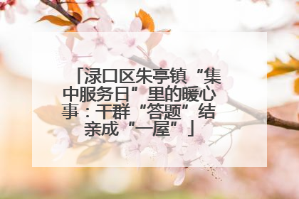 渌口区朱亭镇“集中服务日”里的暖心事：干群“答题”结亲成“一屋”