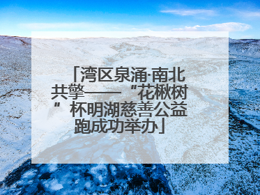 湾区泉涌·南北共擎——“花楸树”杯明湖慈善公益跑成功举办