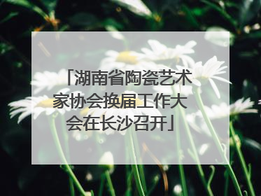 湖南省陶瓷艺术家协会换届工作大会在长沙召开