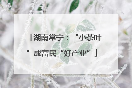 湖南常宁：“小茶叶”成富民“好产业”