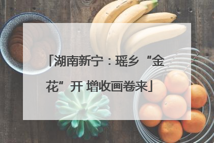 湖南新宁：瑶乡“金花”开 增收画卷来