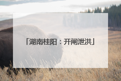 湖南桂阳：开闸泄洪