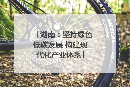 湖南：坚持绿色低碳发展 构建现代化产业体系