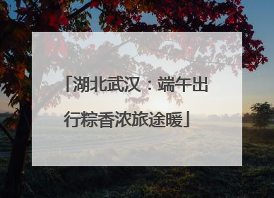 湖北武汉：端午出行粽香浓旅途暖