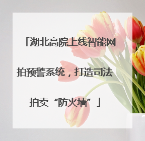 湖北高院上线智能网拍预警系统，打造司法拍卖“防火墙”