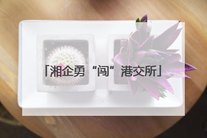湘企勇“闯”港交所