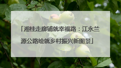 湘桂走廊铺就幸福路：江永兰源公路绘就乡村振兴新图景
