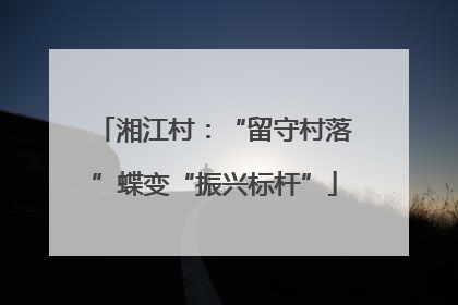 湘江村:“留守村落”蝶变“振兴标杆”