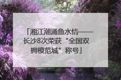 湘江潮涌鱼水情——长沙8次荣获“全国双拥模范城”称号