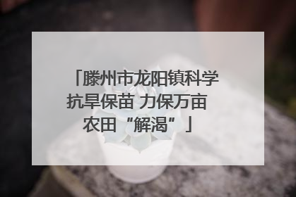 滕州市龙阳镇科学抗旱保苗 力保万亩农田“解渴”