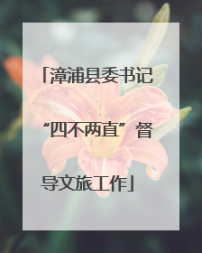 漳浦县委书记“四不两直”督导文旅工作