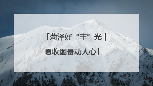 菏泽好“丰”光｜夏收图景动人心