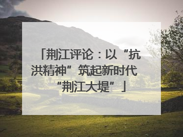 荆江评论：以“抗洪精神”筑起新时代“荆江大堤”