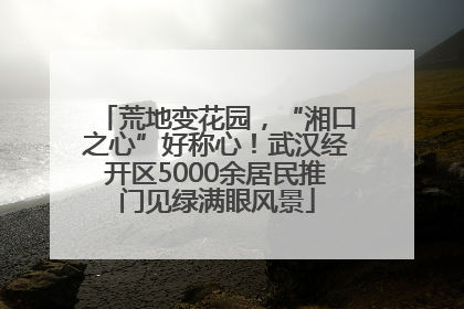 荒地变花园，“湘口之心”好称心！武汉经开区5000余居民推门见绿满眼风景