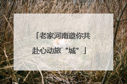 老家河南邀你共赴心动旅“城”