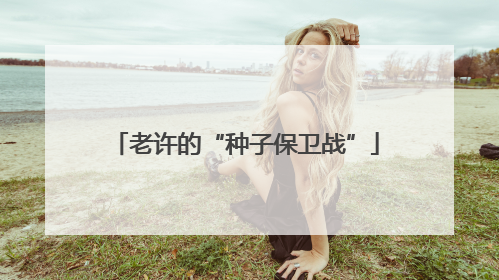 老许的“种子保卫战”
