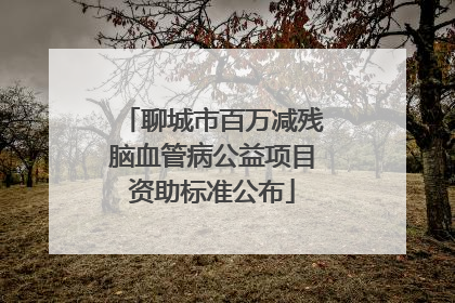 聊城市百万减残脑血管病公益项目资助标准公布