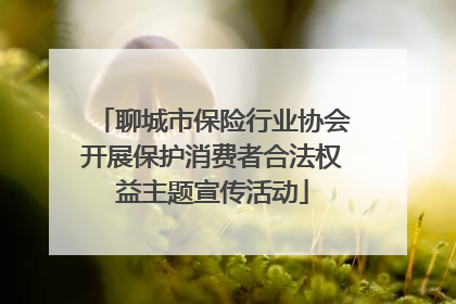 聊城市保险行业协会开展保护消费者合法权益主题宣传活动