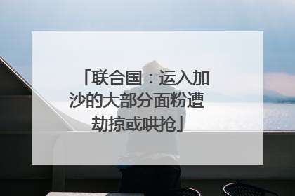 联合国：运入加沙的大部分面粉遭劫掠或哄抢